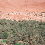 erfoud fossils in morocco