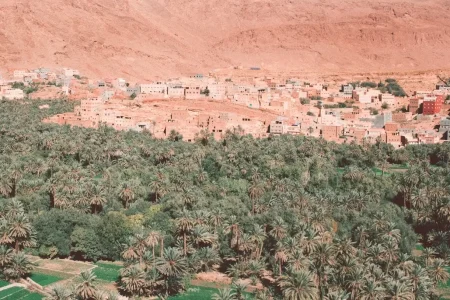 Erfoud Fossils for Sale in Morocco