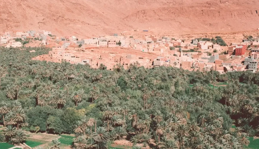 erfoud fossils in morocco