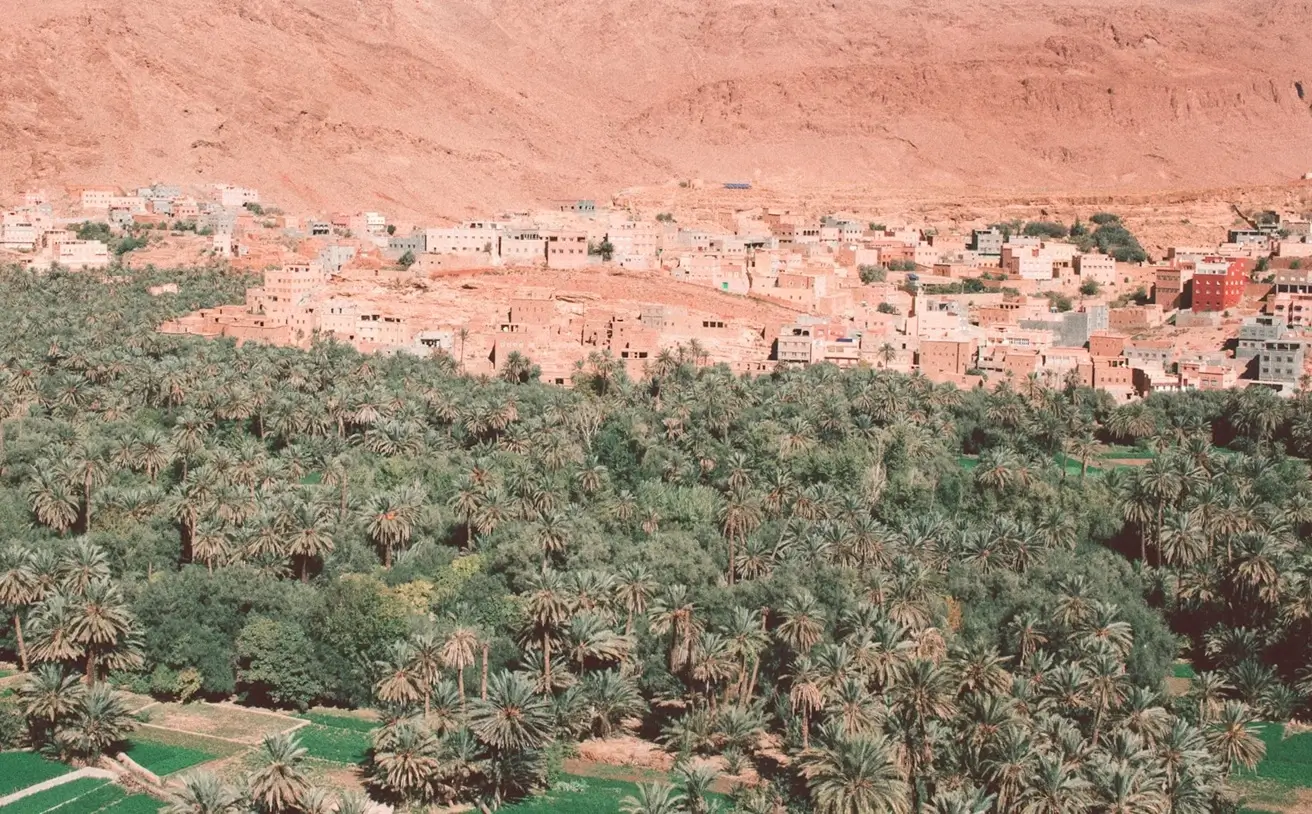 erfoud fossils in morocco