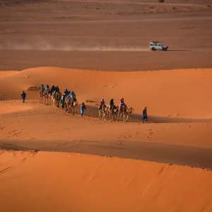 A camel caravan crossing the Moroccan desert with tourists riding camels, guided by local leaders.