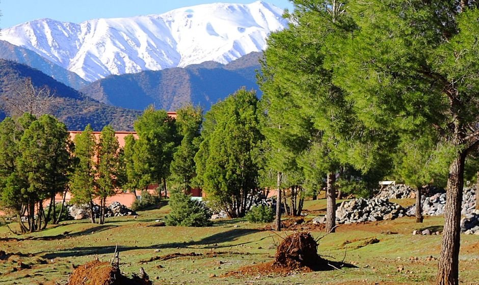 moorish tour