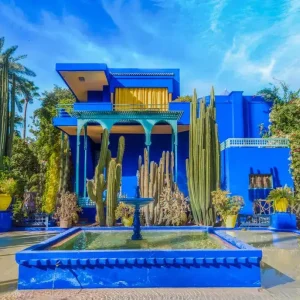 Relax in a beautiful and peaceful garden.