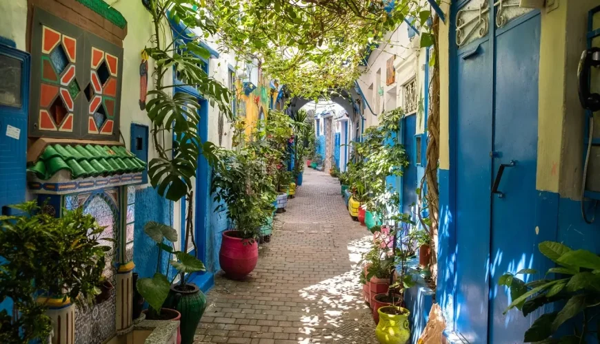 Charming alleyway in Rabat's Medina, Morocco, adorned with vibrant potted plants and traditional blue and white architecture.