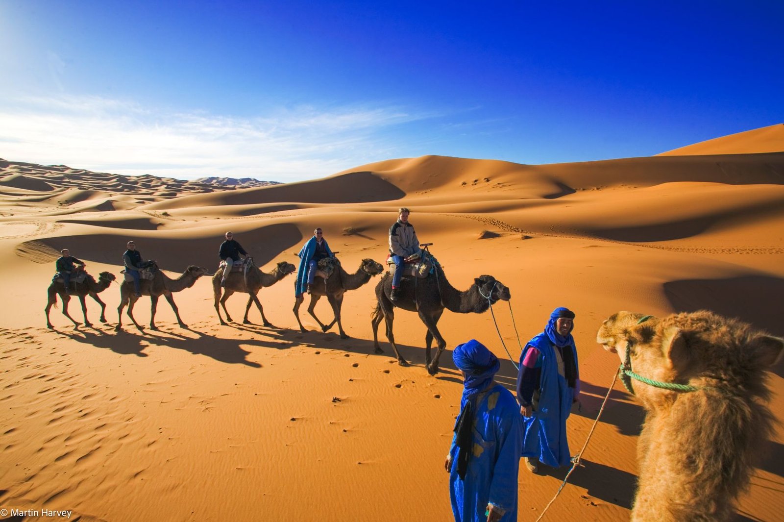 merzouga desert