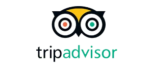 trip advisor