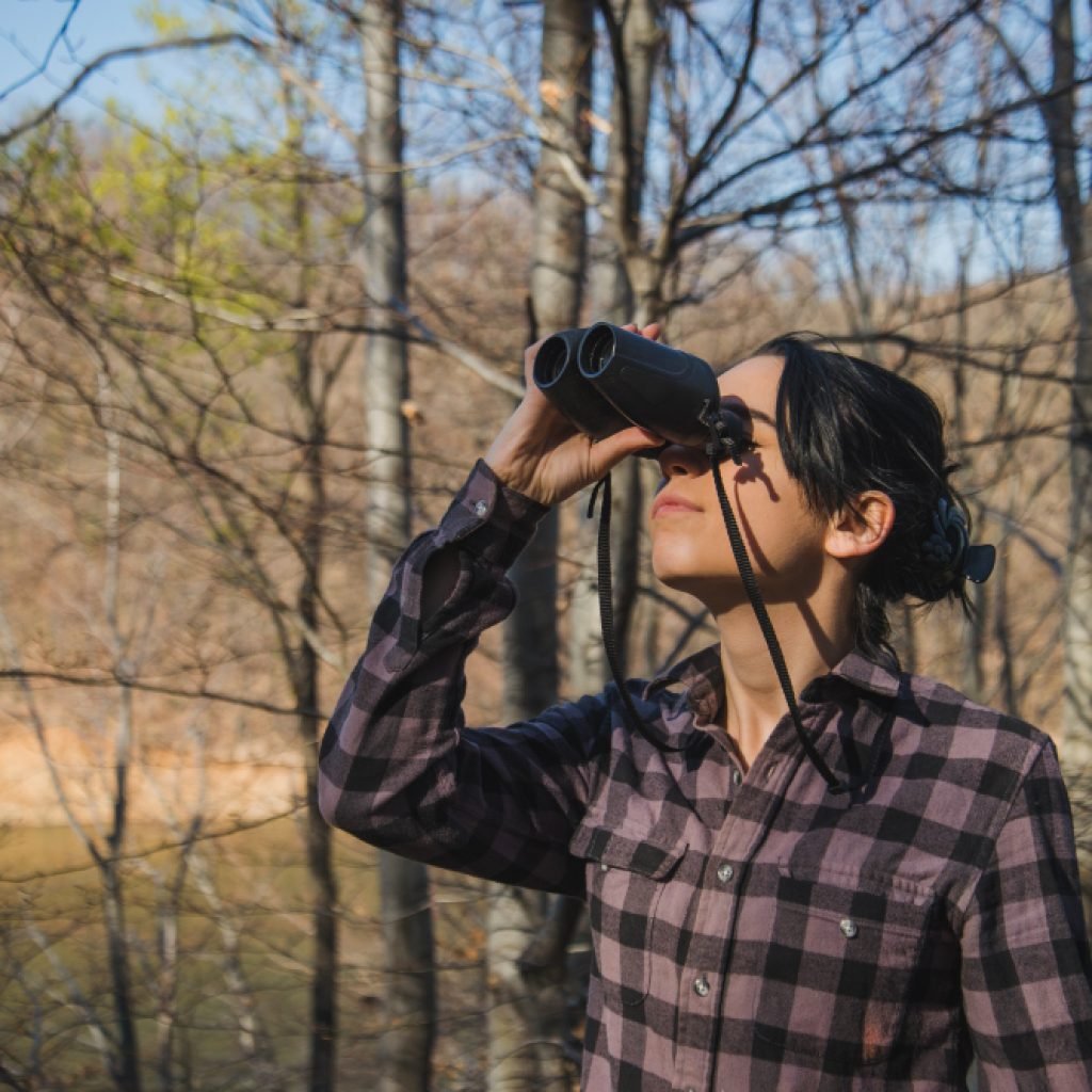 morocco watching birding tours