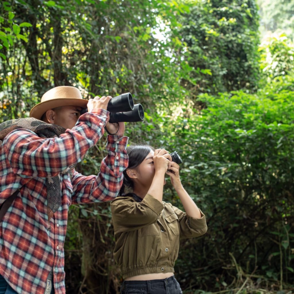 watching birding tours in morocco