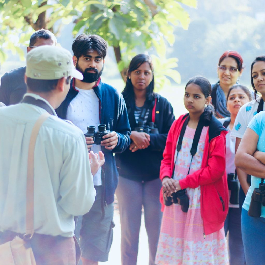 watching birding morocco tours