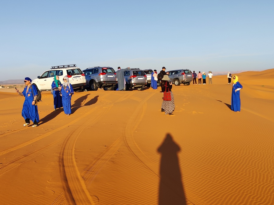 explore high dunes with 4x4