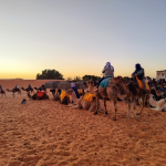 Safe, Comfortable & Well-Organized Morocco Tours