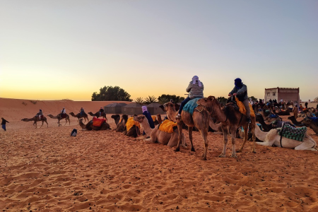 Erfoud Sahara Tours – 4×4 Desert Vehicles & Excursion from Erfoud to Merzouga