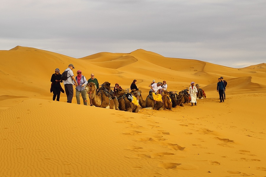 riding a camel desert dunes